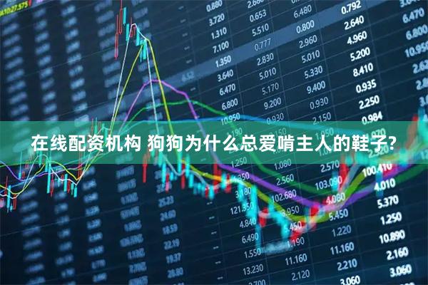 在线配资机构 狗狗为什么总爱啃主人的鞋子?
